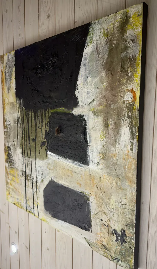 TOXIC DUST 400€ (4).webp