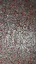 IMG_1890.HEIC.webp